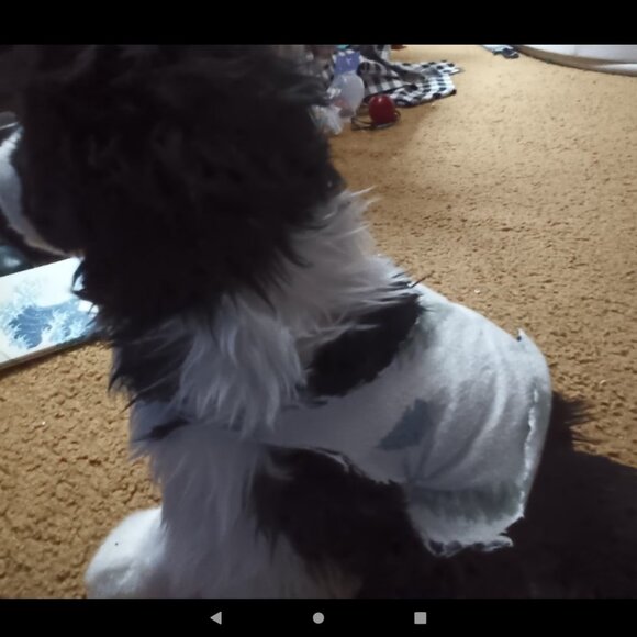 ESSA VEST!! - Picture 2 of 2